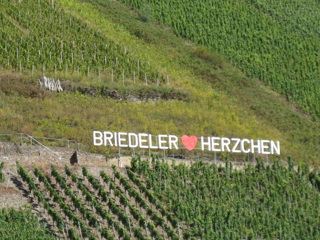 Hotel Weingut Goeres Briedel Zimmer foto